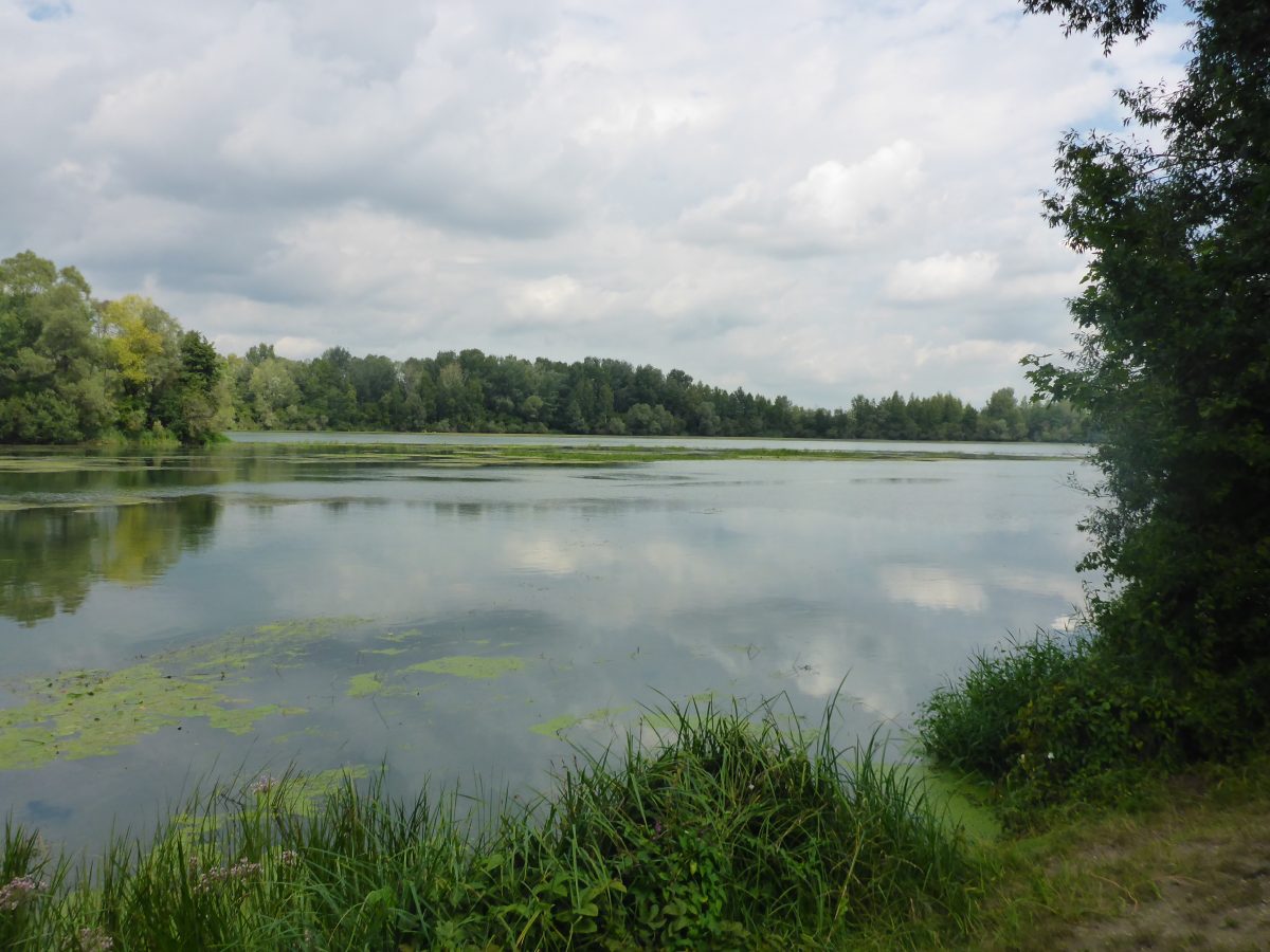 Untere Isar Die Isar von der Quelle zur Mündung zu Fuß